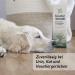 Biodor Animal Laundry Flush 1L - Powerful Odor Neutralizer & Enzyme Cleaner for Pet Stains Urine & Feces | Effective Pet Environment Cleaner - Buy Online on GoSupps.com
