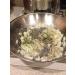 Cherchies Lem'n Dill Seasoning - Premium Blend for Elevating Your Dishes - Buy Online on GoSupps.com