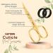 Golden Premium Nail Scissors Professional Curved Cuticle Scissors Manicure Scissors J2 Stainless Steel for Women Men Toenail Shears 4 Inch - Buy Online on GoSupps.com