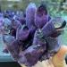 Natural Purple Quartz Crystal Cluster Specimen Beautiful Crystal Crystal Cluster (Size : 950-1000g) - Buy Online on GoSupps.com