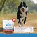Revive Active Roasted Beef Treats for Dogs 40gr Dog and Puppy Chews - Pure and All Nutritive Low Calorie Training Treats - Large and Small Dogs Flavor Dogs Love. 40 g (Pack of 1) - Buy Online on GoSupps.com