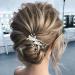 Flower Bride Wedding Hair Comb with Pearl - Leaf Hair Accessories for Women/Girls (A-silver) - Buy Online on GoSupps.com