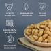 LAFOOCO Sea Salt Caramel Cashews 14.1 oz - Premium Roasted Cashews | Resealable Jar | Nutrient-Rich Protein Snack | Perfect Gift for Celebrations, Holidays, Birthdays - Buy Online on GoSupps.com