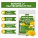  ULTHMOK ULTHMOK Dandelion Tea | Dandelion Root | 50 Tea Bags 100% Natural & No Additives - Buy Online on GoSupps.com