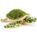 Zappi Co Ultra Soft Turtle Plush Toy (33cm) - Eco-Friendly Newborn Gift - Buy Online on GoSupps.com