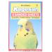 AB Tools 30 Sanded Sheets Sandpaper for Cage Lining | Budgies & Caged Birds | 28x43cm - Buy Online on GoSupps.com