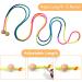 Multi-Purpose 5m Jump Rope for Kids & Adults - Wooden Ball Handle Perfect for Group Play - Buy Online on GoSupps.com