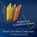 Buy Barilla Collection Mezze Penne Tricolore 500g - Authentic Italian Pasta for International Shipping - Buy Online on GoSupps.com