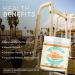 American Standard Creatine Monohydrate Powder - 5000mg for Muscle Growth, Recovery & Performance | Unflavored Micronized Formula - 60 Servings, 300g - Buy Online on GoSupps.com