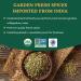 Organic Fennel Seeds (397g/14oz) from Rajasthan, India | USDA Certified | Anti-inflammatory | Ideal for Cooking & Beverages | Resealable Pouch - Buy Online on GoSupps.com