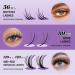 DIY Lash Extension Kit - Multi-Type Lash Clusters & Bottom Lashes | 20/30/40/50D 12-18mm | Complete Volume Lashes Set with Bond Seal & Applicator - Buy Online on GoSupps.com