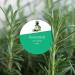 Rosemary Essential Oil for Hair Growth | Natural Hair Loss Solution & Aromatherapy - 60ml - Buy Online on GoSupps.com