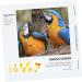 POPETPOP 6 PCS Parrot Flight Suit - Diapers for Birds Pigeon Flight Suit & Conure Harness - Cotton Set (3 Yellow 3 Mixed Colors) - Buy Online on GoSupps.com