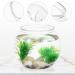 POPETPOP Plastic Fish Bowl Small Fish Tank Desktop Fish Tank Clear Round Fish Bowl 19.5X19.5X18CM Transparent - Buy Online on GoSupps.com