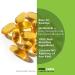 Andrew Lessman Lycopene 10mg - 60 Softgels | Powerful Antioxidant for Tissue Protection | Supports Breast, Prostate & Heart Health | No Additives - Buy Online on GoSupps.com