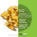 ANDREW LESSMAN Prostate Support Softgels - Saw Palmetto, Pumpkin Seed Oil, Lycopene - 60 Count Pack - Prostate Health & Bladder Function - Additive-Free - Buy Online on GoSupps.com