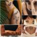 Cerlaza Long-Lasting Fake Tattoos - 30 Styles Waterproof Butterfly & Flower Temporary Body Makeup for Women - Buy Online on GoSupps.com