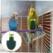 Buy Mipcase Flying Bird Diapers - Pet Pee Pads for Pigeons Chickens & Parrots | Cotton Clothing & Costumes - 20x11cm - Buy Online on GoSupps.com
