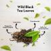 BEYONDARIE Black Tea | Tea Leaves - 100g | Instant Tea | Black Leaf Tea | Detox Tea | Loose Leaves Black Tea | Long Leaf Black Tea| Wild Black Tea | 40 Tea Cup - Buy Online on GoSupps.com