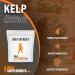 Kelp Extract Powder 500g - Seaweed Supplement | BulkSupplements.com - Buy Online on GoSupps.com