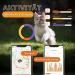 Weeneect XS for Cats - Mini GPS Tracker | Real-Time Tracking | Unlimited Distance | Smallest Model | Collar Included | 2023 Subscription - Buy Online on GoSupps.com