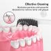Sonicare E-Series Replacement Heads - Charcoal Bristles - Hygienic Cap - 2-Pack - Buy Online on GoSupps.com