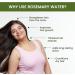 Alps Goodness Rosemary Hair Growth Spray 100 ml Reduces Hair Fall Strengthens Hair Adds Shine Suitable for All Hair Types - Buy Online on GoSupps.com