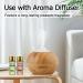 Hyppry Natural Essential Oils for Home Diffuser - 12 x 5ml Set with Tea Tree, Lavender, Peppermint, and More - Buy Online on GoSupps.com