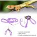 Adjustable Lizard Harness - Bearded Dragon Leash for Reptile Walking Control - Buy Online on GoSupps.com