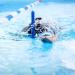 Kraken Aquatics Swim Snorkel - Adult Center Mount for Lap Swimming | Comfortable Silicone Mouthpiece | One-Way Purge Valve | Blue - Buy Online on GoSupps.com
