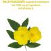 Evening Primrose Oil Capsules 1500mg | High Dose with Vitamin E | Primedical 3-Month Pack (90 Capsules) - International Shipping Available - Buy Online on GoSupps.com