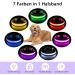 Bright Waterproof LED Dog Collar - Adjustable Luminous Neck Band for Small to Large Dogs | 7 Color Change Night Safety - Purple (38-50cm/15-19.7inch) 2022 - Buy Online on GoSupps.com
