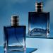 Men's Perfume Spray Lasting Fragrance Fresh Warm Mens Cologne Spray Ideal Day or Night Fragrance Mist Gifts for Men 1.86 Fl Oz 1.86 Fl Oz (Pack of 1) Black - Buy Online on GoSupps.com