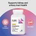 PureFormulas Cranberry 500 mg - Supports Kidney and Urinary Tract Health - Antioxidant Supplement for Immune Protection and Cellular Health - Cranberry Pills for Women & Men - Non-GMO - 60 Capsules 60 Count (Pack of 1) - Buy Online on GoSupps.com