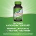 Nature's Way Chlorofresh Concentrate - 90 Softgels - Buy Online on GoSupps.com