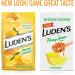 Ludens Honey Lemon Throat Drops - 6 Pack (25 Count Each) - Buy Online on GoSupps.com
