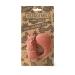 Cyril L' cureuil - Shop the Best Internationally Shipped Unique Squirrel Figurine Online - Buy Online on GoSupps.com