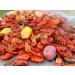2 Gringos Chupacabra Cajun Seasoning Blend - 25 oz | Authentic Southern Flavors - Buy Online on GoSupps.com