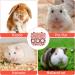 Rabbit Hay Feeder Hanging Hay Feeding Bag Rabbit Hay Feeder Bag Foldable Hay Storage Bag for Rabbit Guinea Pig Hamster Chinchilla (L) - Buy Online on GoSupps.com