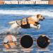 Emust Dog Swimming Vest - Reflective Lifeguards for Small Dogs | Safety Life Jacket with Rescue Handle for Swimming & Boating - Orange - Buy Online on GoSupps.com
