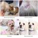 Pawfect Pet Metal Fine Tooth Comb Set for Cats and Dogs - Remove Lice, Fleas, Tear Marks, Dandruff - Buy Online on GoSupps.com