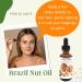 Best Nature's Cosmetics Virgin Organic Brazil Nut Oil Moisturizer for Skin and Hair 1 Fl Oz 1 Fl Oz (Pack of 1) - Buy Online on GoSupps.com
