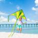 JOYIN Large Delta Kite 2-Pack - Easy-to-Fly Green and Rainbow Kites for Kids and Adults | Includes 262.5 ft Kite String | Perfect for Outdoor Games - Buy Online on GoSupps.com