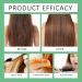 ZLHHRZJX Rosemary Hair Growth Shampoo Thickening and Strengthening Shampoo/Poo to Combat Hair Loss for Women and Men Natural Shampoo/Poo to Combat Hair Loss Gentle Ingredients - Buy Online on GoSupps.com