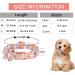 Pink Bow Tie Dog Collar | Adjustable for Girl Dogs | Metal Quick Release Buckle | Orange | Size L (38-60CM) - Buy Online on GoSupps.com