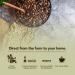 Premium Brazilian Unroasted Green Coffee Beans - Specialty Grade Arabica for Home Roasting | Direct From the Farm | Maximum Freshness & Rich Flavor - Limited Edition N3 | 3lb - Buy Online on GoSupps.com
