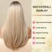 Shop Honybia Long Blonde Wig with Pony - Ombre Dark Root Wavy Synthetic Heat-Resistant Hair for Everyday Party & Cosplay - Buy Online on GoSupps.com