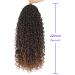 6 Packs 22 Inch Curly Faux Locs Crochet Hair - Boho Style Goddess Locs Synthetic Braids - T1B/30 (Pack of 6) - Buy Online on GoSupps.com
