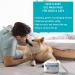 Miracle Care Eye Wash Pads for Dogs & Cats - 90 Count | Gentle Eye Care - Buy Online on GoSupps.com