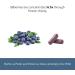 Eclectic Herb - Bilberry Capsules | Vision Health Cardiovascular Support & Circulation | Superfood Vitamin & Mineral Supplement | Raw Freeze Dried Vegan Non-GMO Gluten Free (60 CT | 450 mg) Blue 60 count (Pack of 1) - Buy Online on GoSupps.com